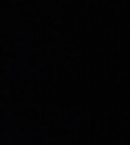 Meet your Posher, Talal